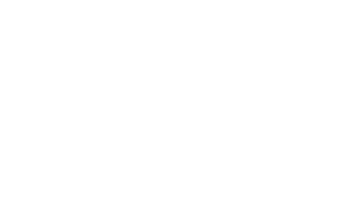 Deutsch-Österreichische Freundschaft
